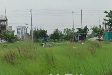 3 Khatha South Facing Plot Sale At Aftabnagar, Block- G