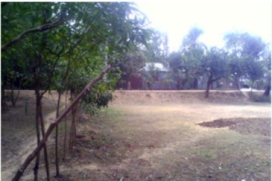 6 Katha Plot Sale At Bashundhara R/A, Block- N